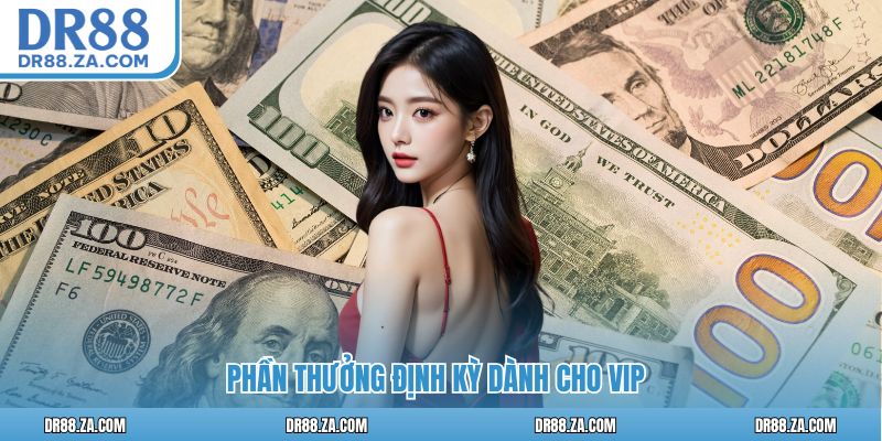 Đặc Quyền VIP DR88 – Mức Thưởng Cao Cấp Cho Hội Viên