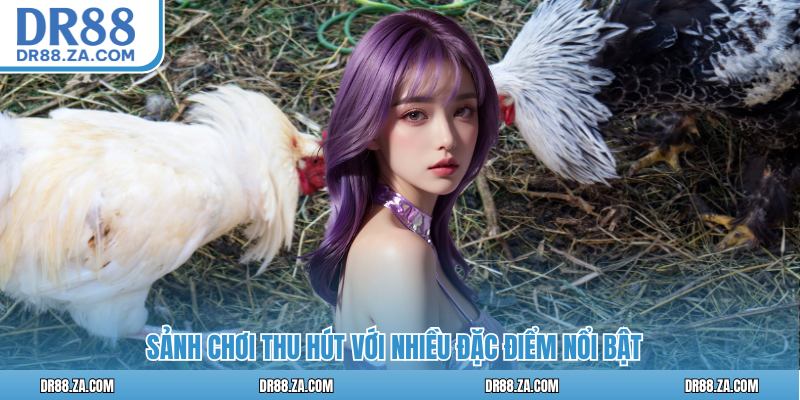 Odin Gamecock DR88 - Sảnh Đá Gà Uy Tín Hàng Đầu Châu Á