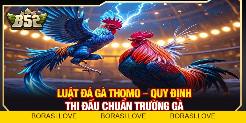 Luật Đá Gà Thomo – Quy Định Thi Đấu Chuẩn Trường Gà