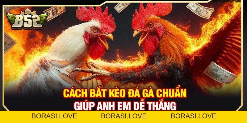 Cách Bắt Kèo Đá Gà Chuẩn Giúp Anh Em Dễ Thắng